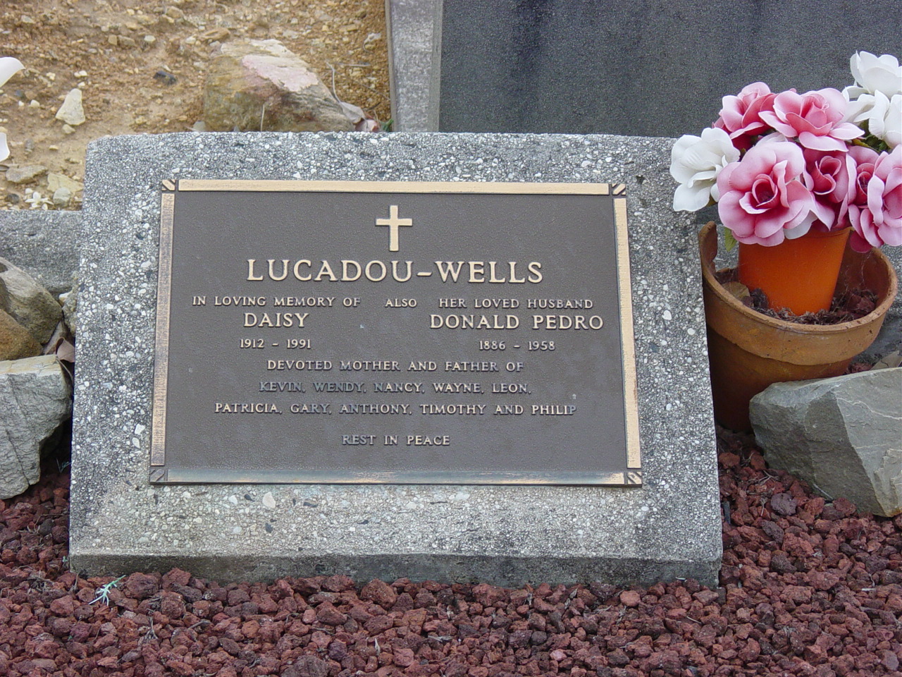 Full-size image