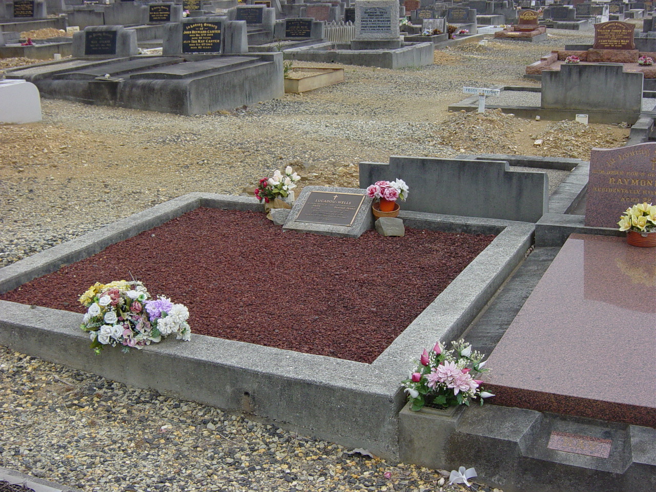 Full-size image