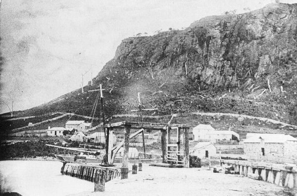 Full-size image