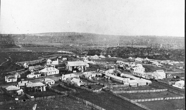 Full-size image