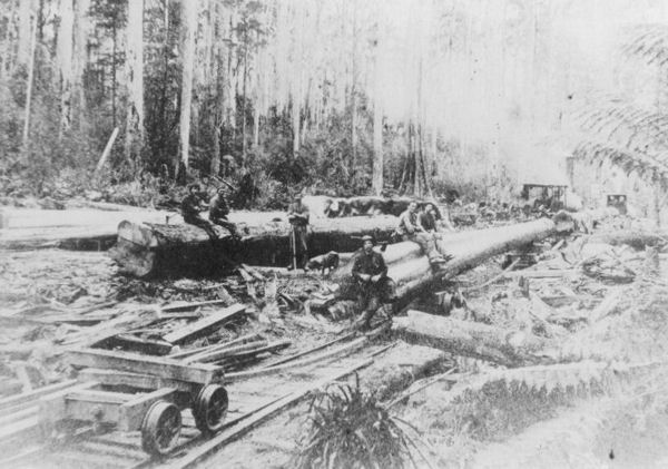Full-size image