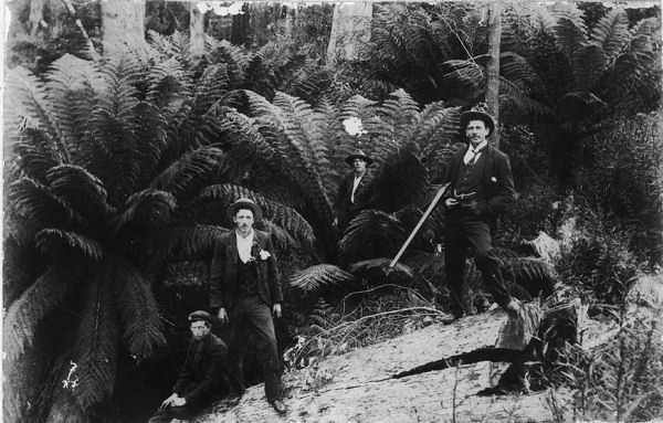 Full-size image