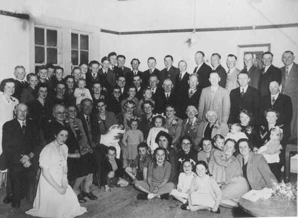 Full-size image