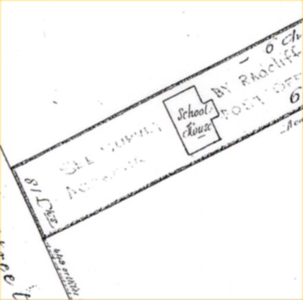 Full-size image