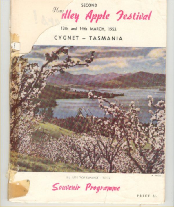 Full-size image