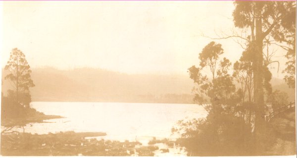 Full-size image