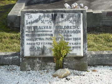 Full-size image