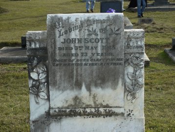 Full-size image