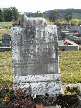 Full-size image