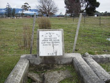 Full-size image
