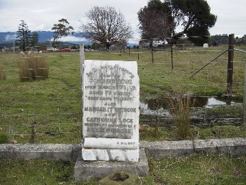 Full-size image