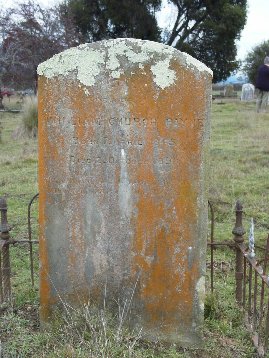 Full-size image
