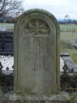 Full-size image