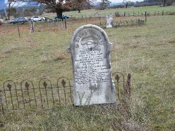Full-size image