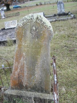 Full-size image