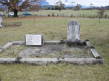Full-size image