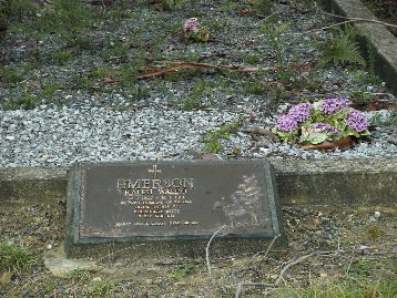 Full-size image