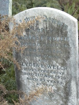Full-size image