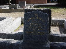 Full-size image