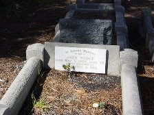 Full-size image