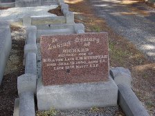 Full-size image