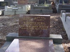 Full-size image