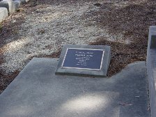 Full-size image