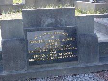 Full-size image