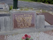 Full-size image