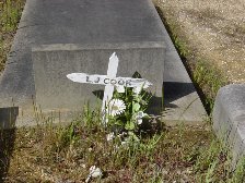 Full-size image