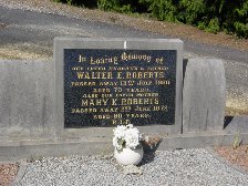 Full-size image