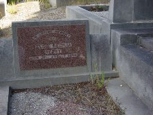Full-size image
