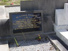 Full-size image