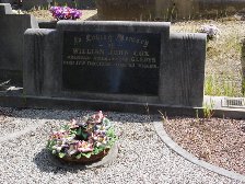 Full-size image
