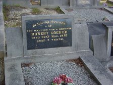 Full-size image