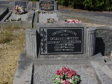 Full-size image