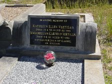 Full-size image