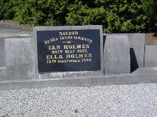 Full-size image