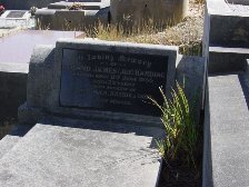 Full-size image
