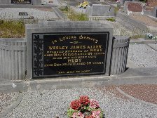 Full-size image