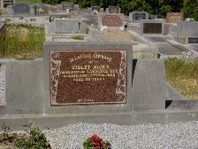 Full-size image