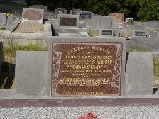 Full-size image