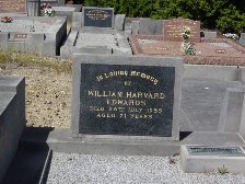 Full-size image