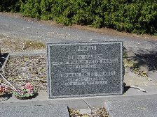 Full-size image