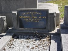 Full-size image