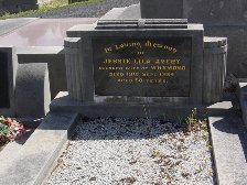 Full-size image