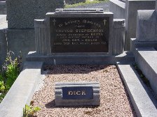 Full-size image