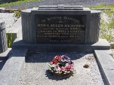 Full-size image