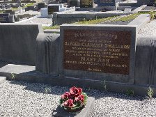 Full-size image