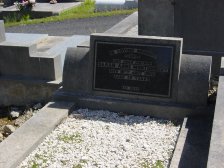 Full-size image